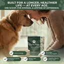 da-1-daily-all-in-one-dog-supplement-pow-3.jpg