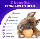 26-in-1-dog-multivitamin-with-glucosamin-2.jpg