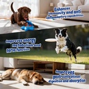 dog-multivitamin-with-glucosamine-chondr-4.jpg