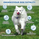 dog-vitamins-and-supplements-dog-multivi-4.jpg