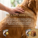dm-daily-multivitamin-for-dogs-multivita-2.jpg