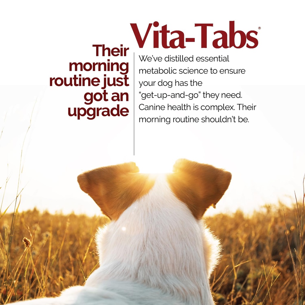 for-dogs-multivitamin-mineral-supplement-4.jpg