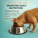 for-dogs-multivitamin-mineral-supplement-6.jpg