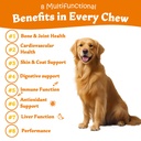 probiotics-for-dog-vitamins-supplements--2.jpg