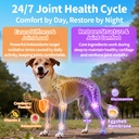 dog-vitamins-and-supplements-day-night-2-4.jpg