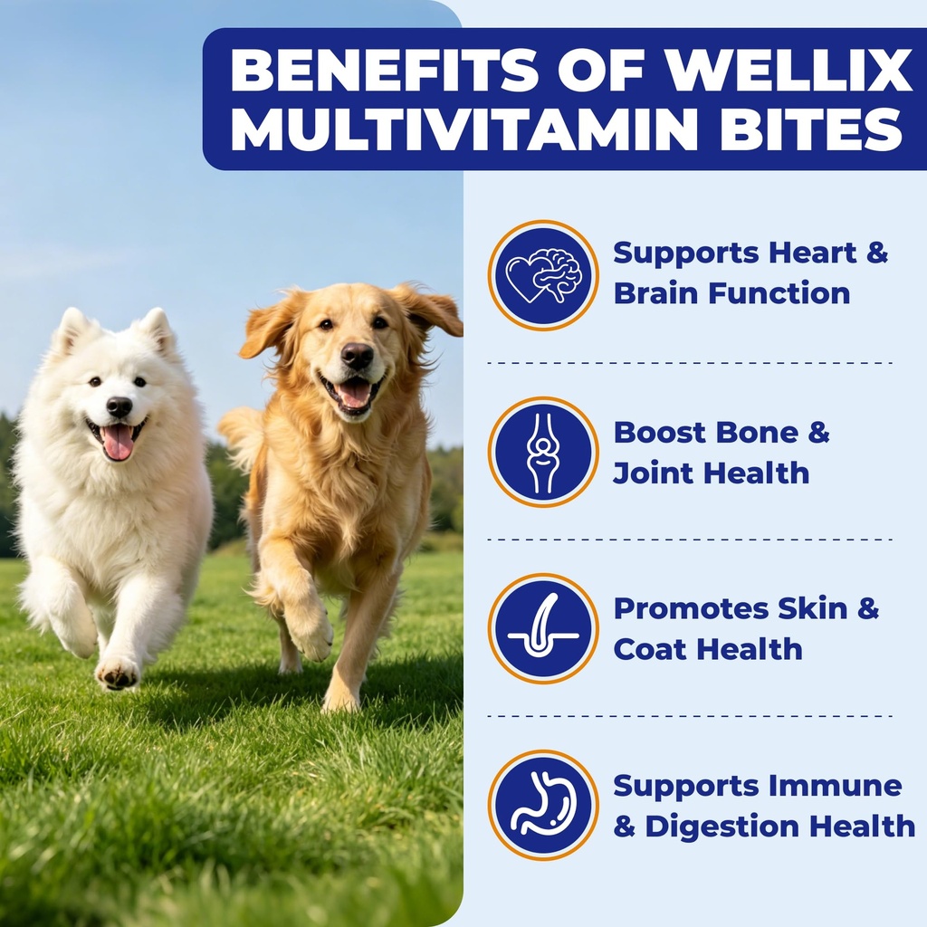 wellix-26-in-1-dog-multivitamin-dog-vita-4.jpg