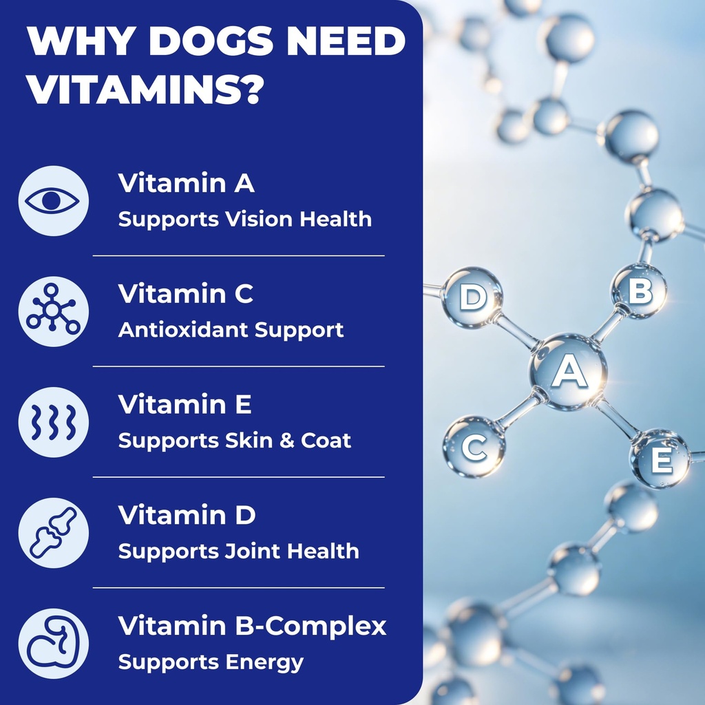 wellix-26-in-1-dog-multivitamin-dog-vita-5.jpg