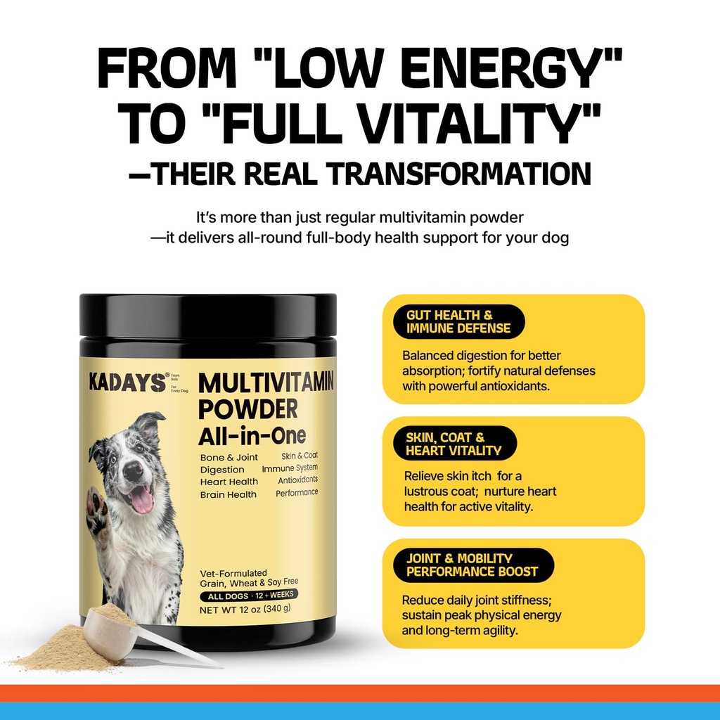 dog-multivitamin-powder-dog-vitamins-and-6.jpg