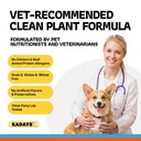 dog-multivitamin-powder-dog-vitamins-and-3.jpg
