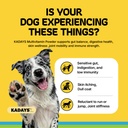 dog-multivitamin-powder-dog-vitamins-and-2.jpg