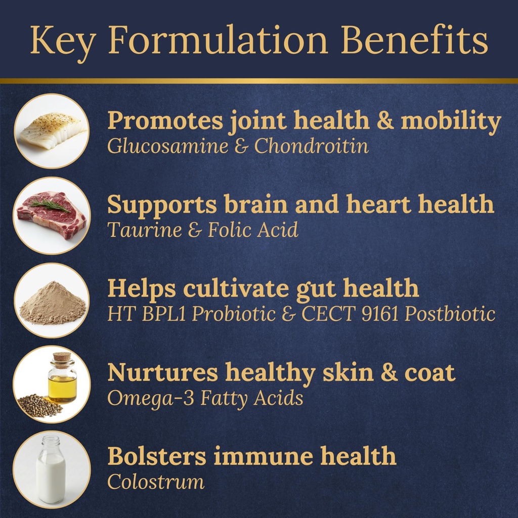 multivitamins-balanced-nutrition-for-you-4.jpg