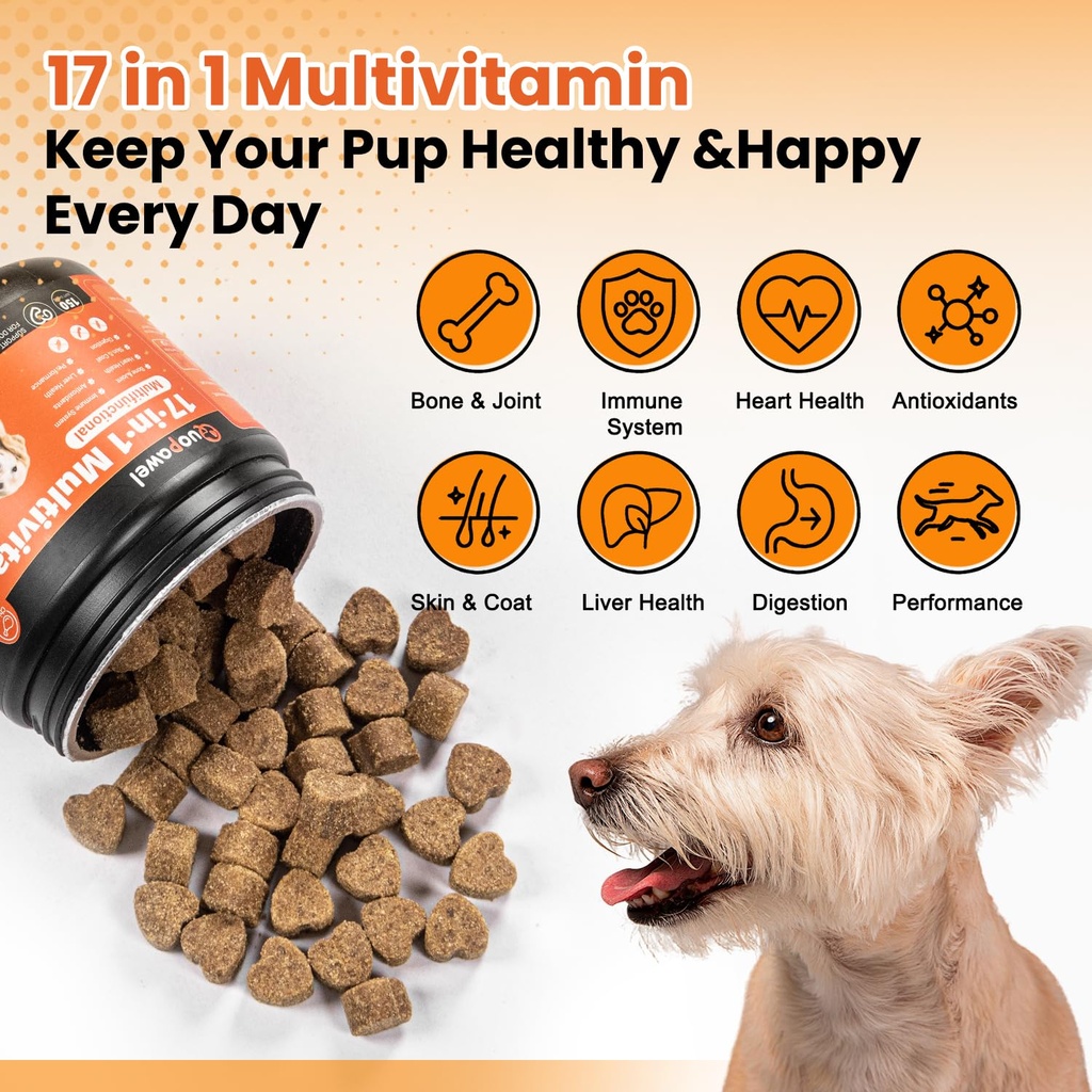 17-in-1-dog-vitamins-and-supplements-dog-4.jpg