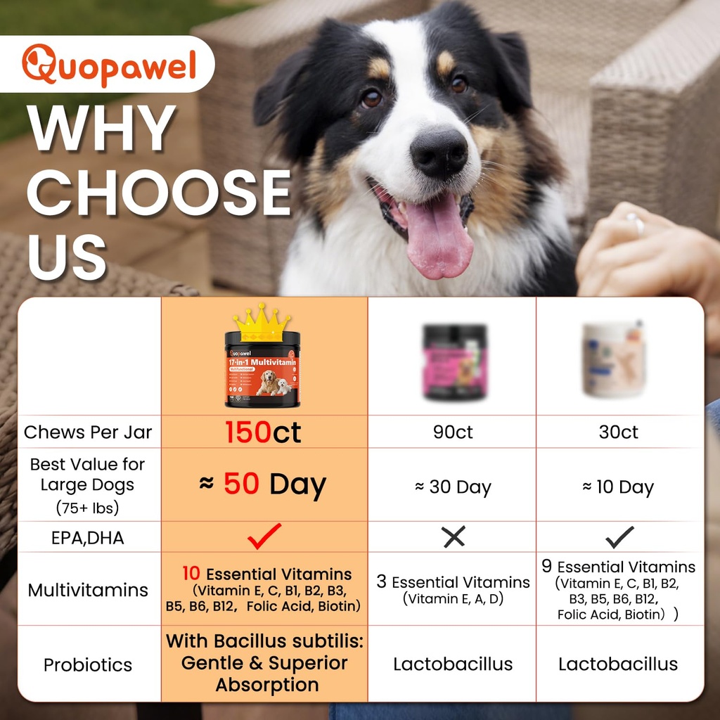 17-in-1-dog-vitamins-and-supplements-dog-6.jpg