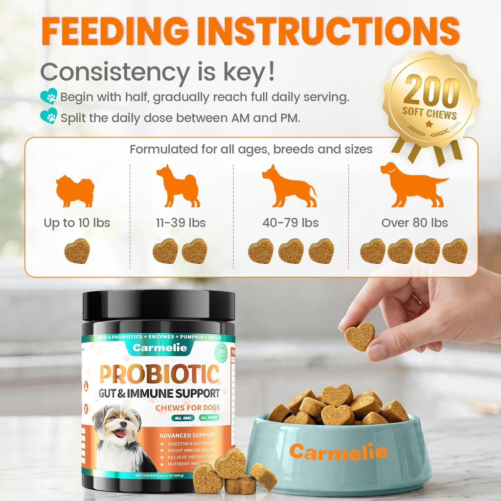 probiotics-for-dogs-gut-health-for-diges-6.jpg