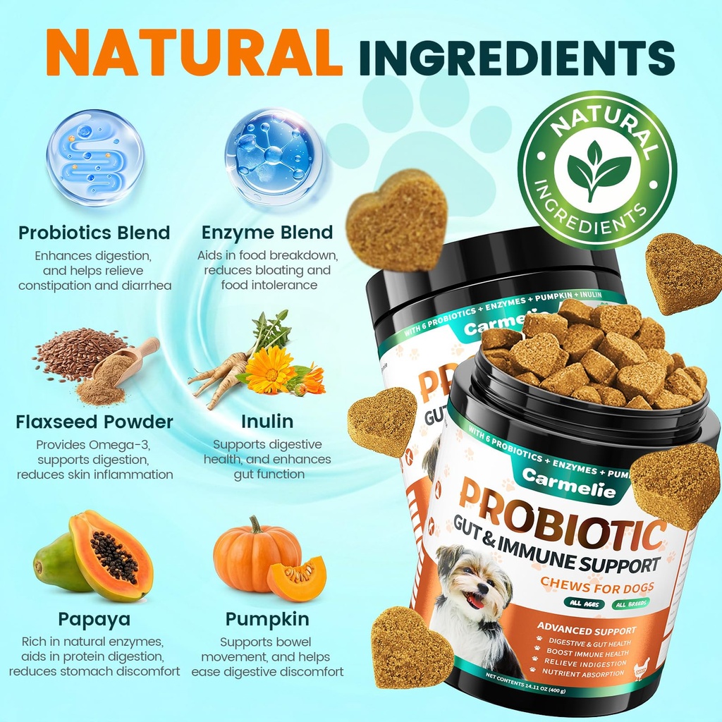 probiotics-for-dogs-gut-health-for-diges-3.jpg