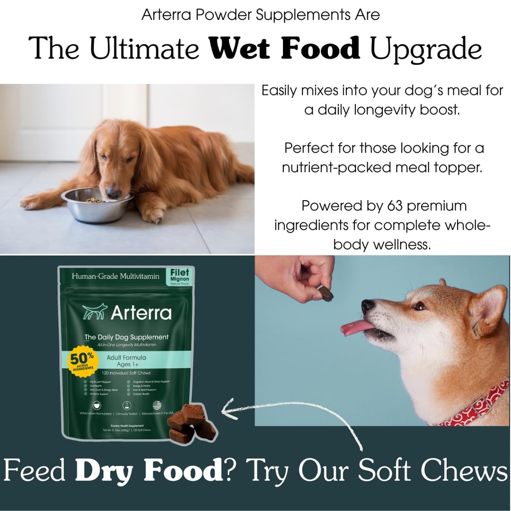 adult-dog-powder-supplement-food-topper--2.jpg