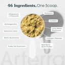adult-dog-powder-supplement-food-topper--5.jpg