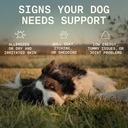 8-in-1-dog-multivitamin-100-natural-supp-2.jpg