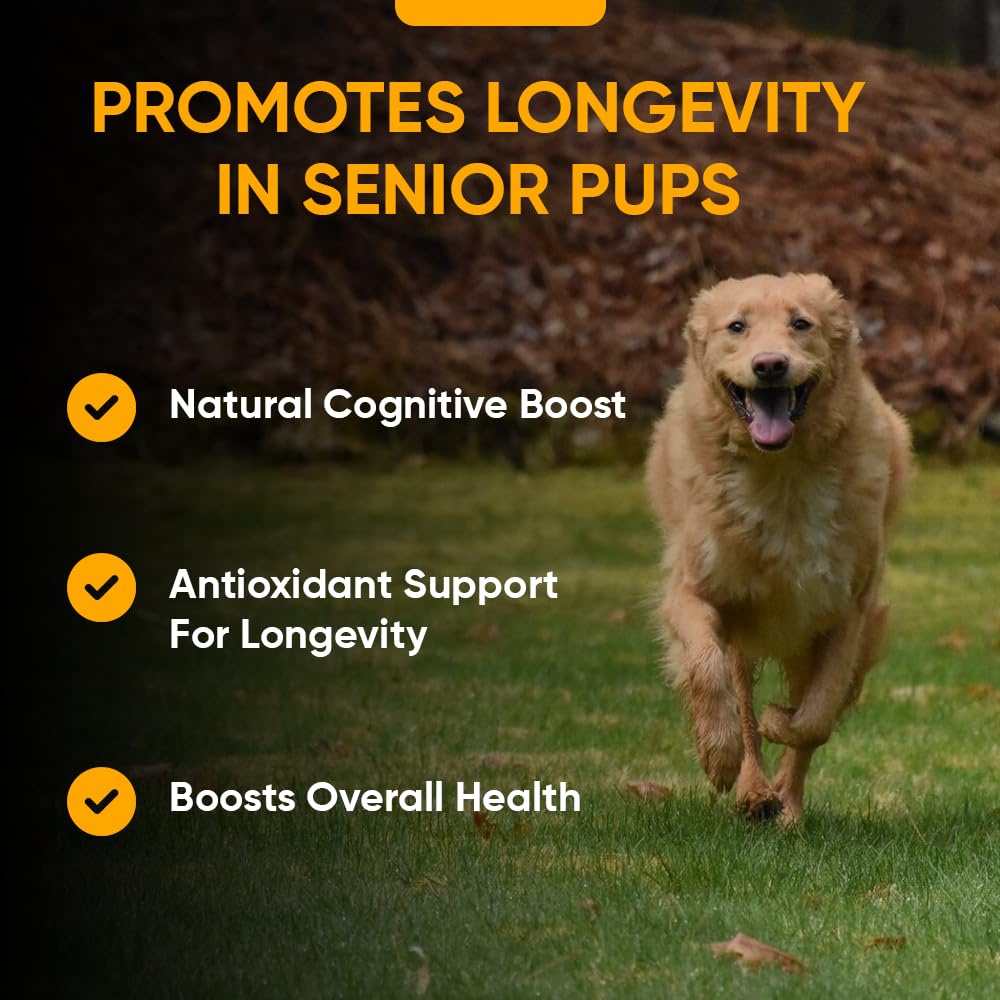 iheartdogs-senior-super-7-dog-multivitam-5.jpg