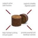 vetiq-multivitamin-supplement-for-dogs-h-5.jpg
