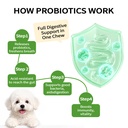 24-in-1-dog-vitamins-and-supplements-200-5.jpg
