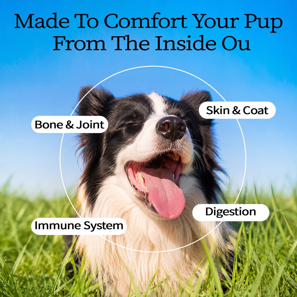 24-in-1-dog-vitamins-and-supplements-200-3.jpg