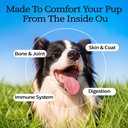 24-in-1-dog-vitamins-and-supplements-200-3.jpg