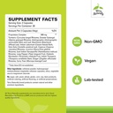 terry-naturally-ayurvedic-digestive-form-2.jpg