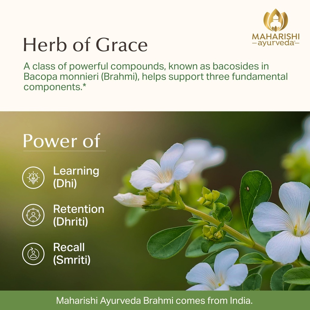 maharishi-ayurveda-organic-brahmi-bacopa-5.jpg