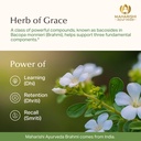 maharishi-ayurveda-organic-brahmi-bacopa-5.jpg