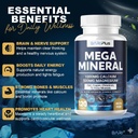 mega-mineral-complete-complex-with-vitam-6.jpg