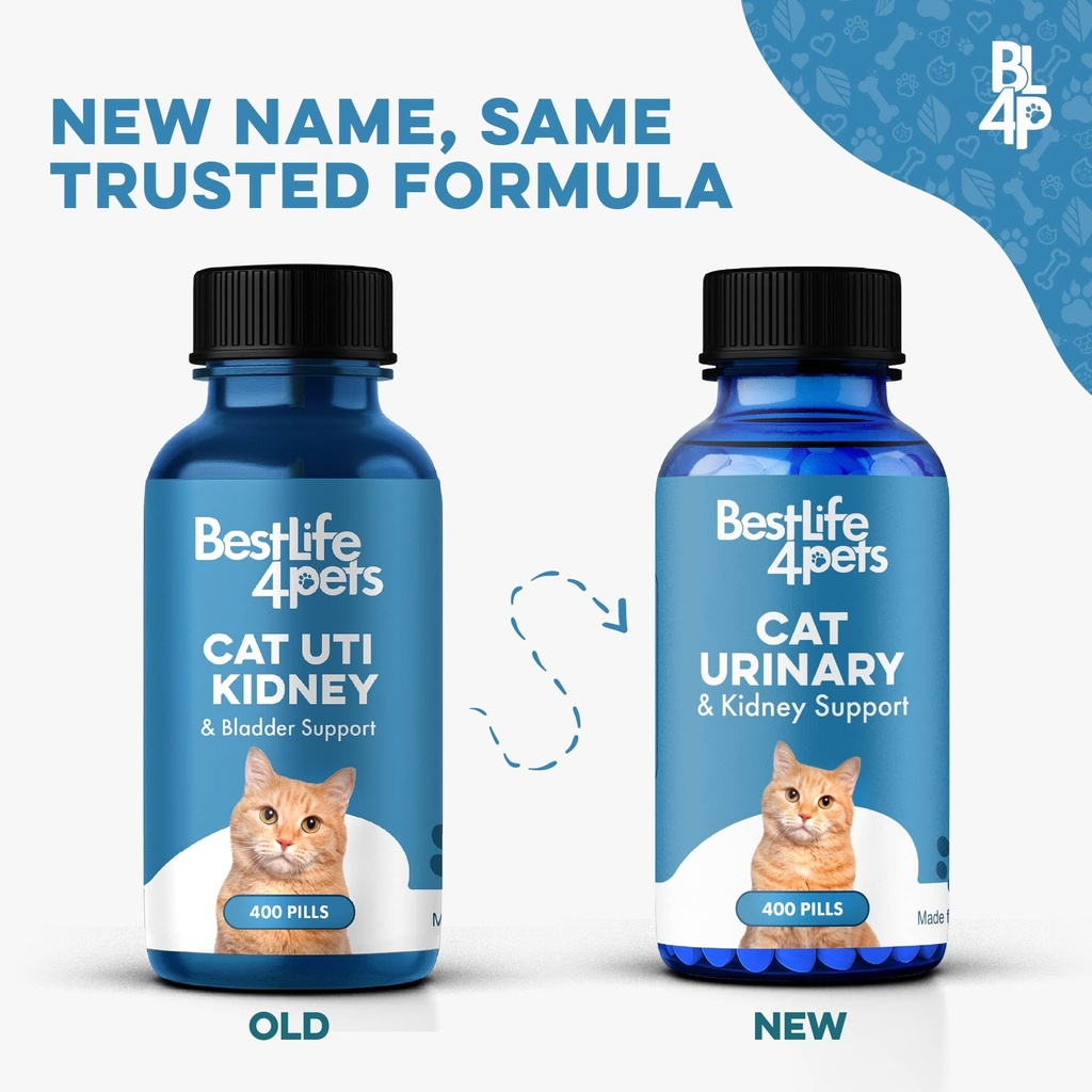 bestlife4pets-cat-uti-remedy-kidney-supp-5.jpg