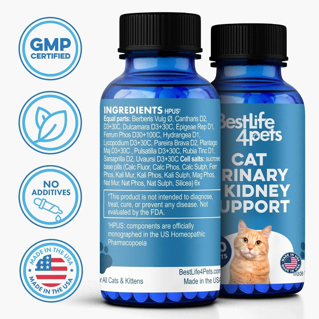 bestlife4pets-cat-uti-remedy-kidney-supp-4.jpg
