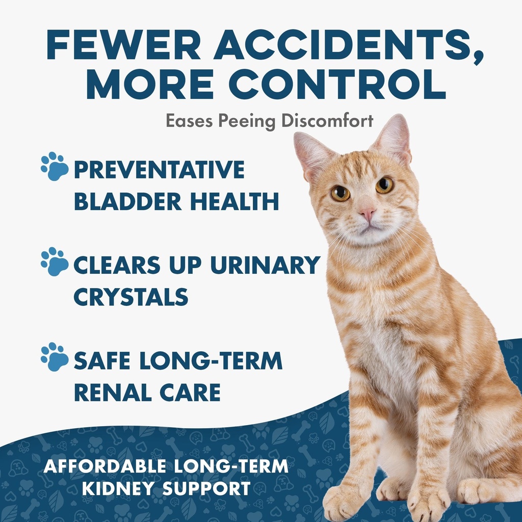 bestlife4pets-cat-uti-remedy-kidney-supp-6.jpg