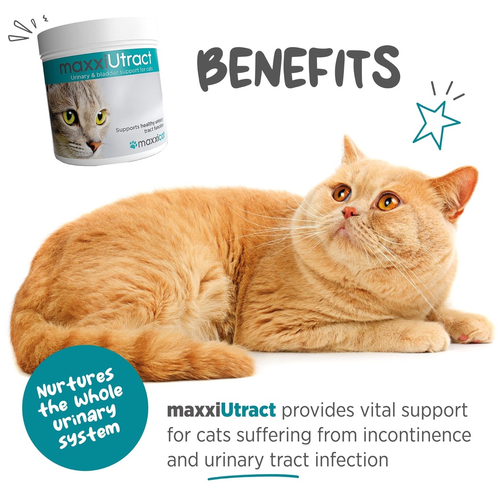 maxxipaws-maxxiutract-urinary-bladder-po-2.jpg