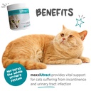 maxxipaws-maxxiutract-urinary-bladder-po-2.jpg