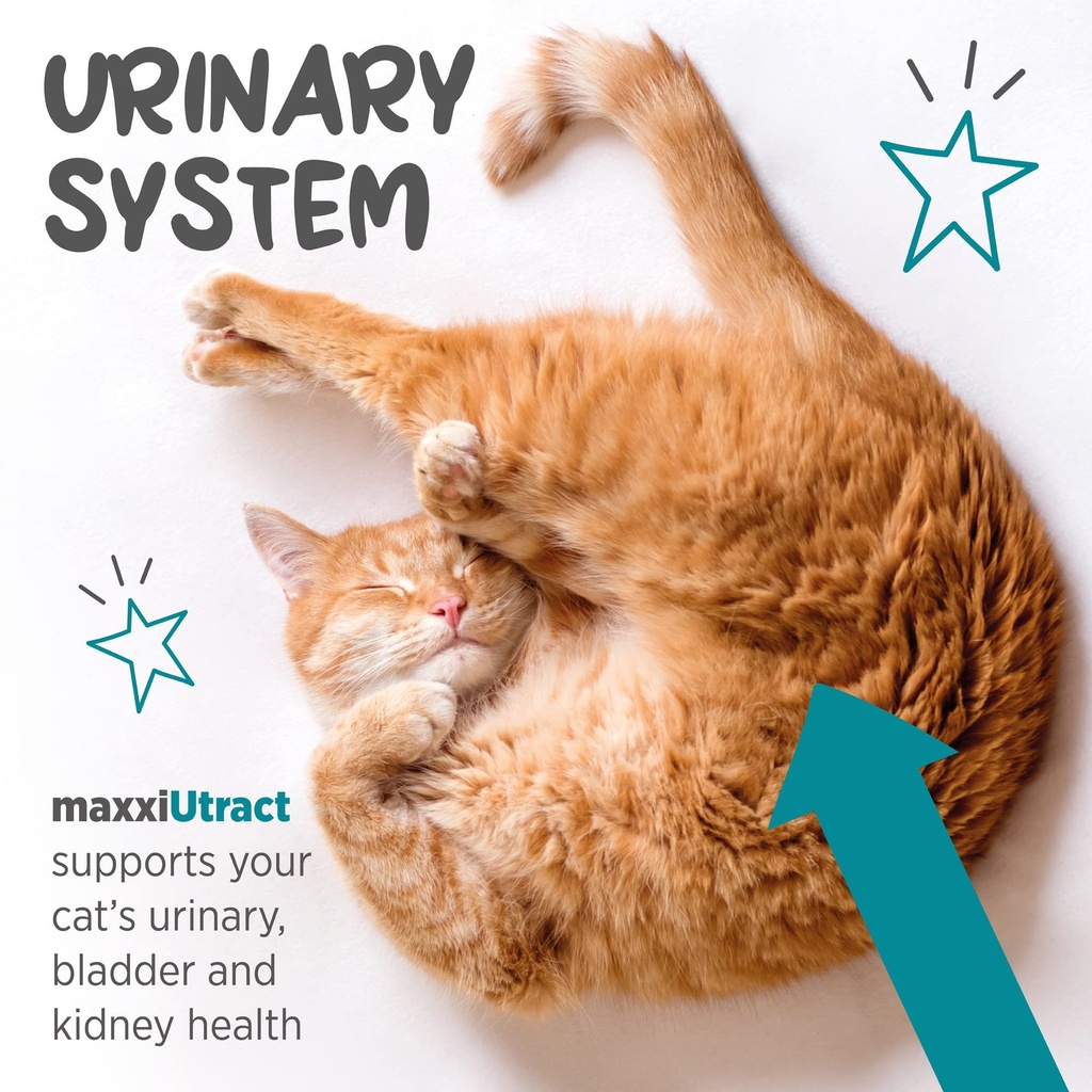 maxxipaws-maxxiutract-urinary-bladder-po-4.jpg