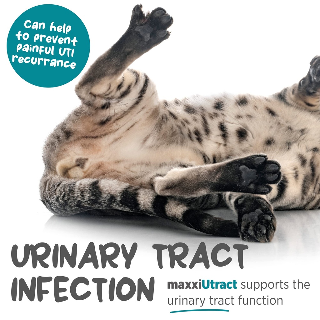 maxxipaws-maxxiutract-urinary-bladder-po-3.jpg