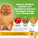 only-natural-pet-canine-bladder-control--2.jpg