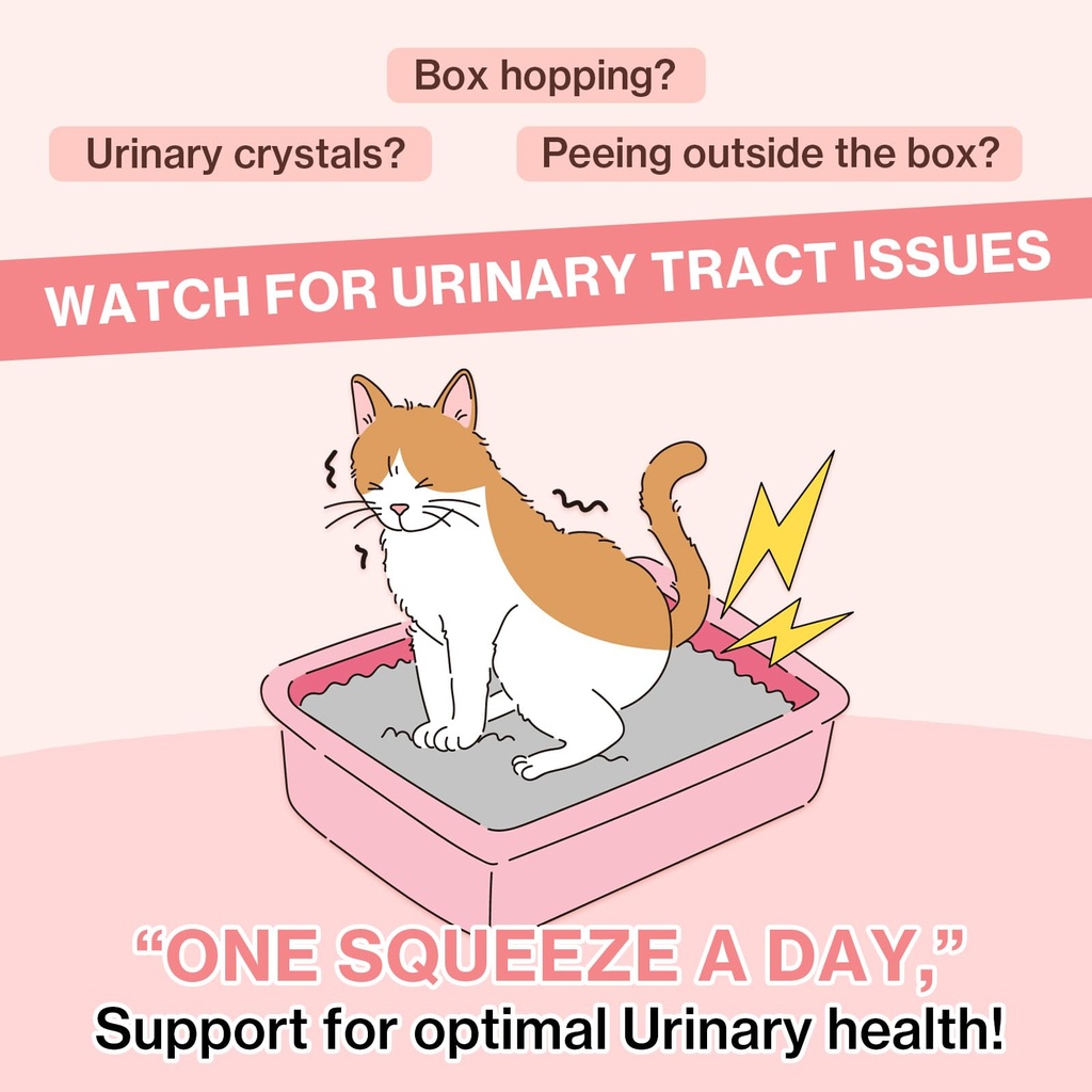 ut-care-cat-uti-kidney-support-urinary-s-2.jpg