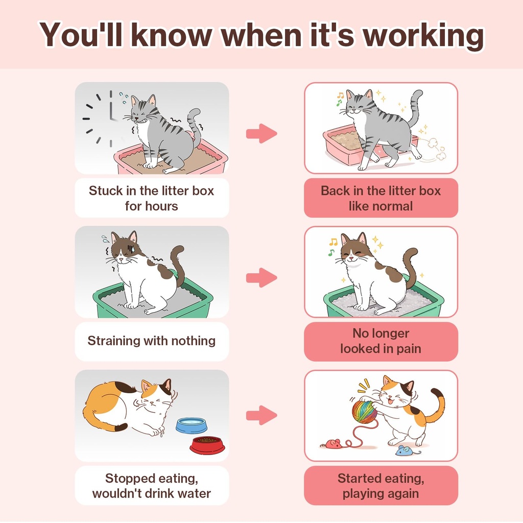 ut-care-cat-uti-kidney-support-urinary-s-6.jpg