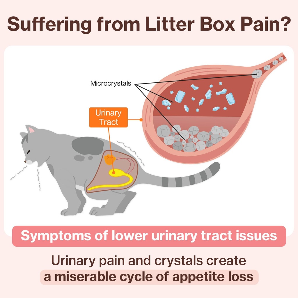 ut-care-cat-uti-kidney-support-urinary-s-4.jpg
