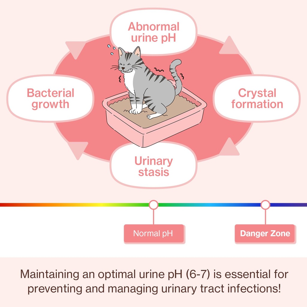ut-care-cat-uti-kidney-support-urinary-s-5.jpg