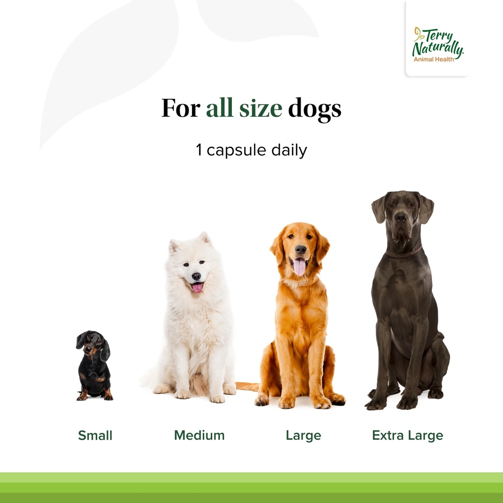 terry-naturally-animal-health-bladder-co-4.jpg