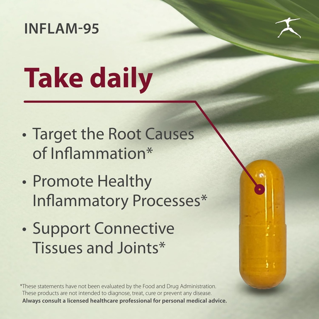 inflam-95-ginger-root-extract-2-000-mg-c-3.jpg