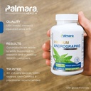 premium-andrographis-paniculata-extract--2.jpg