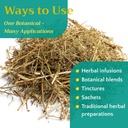 5-lb-bulk-sweet-wormwood-herb-artemisia--4.jpg