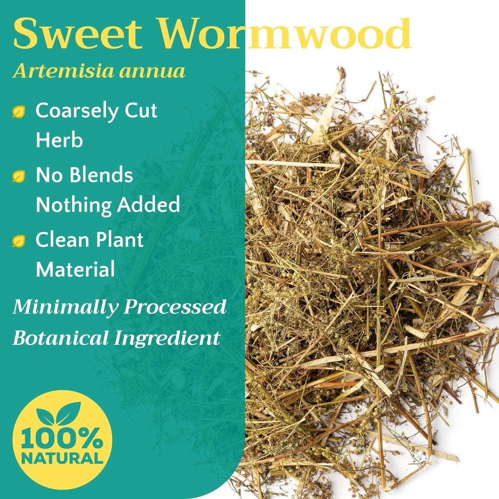 5-lb-bulk-sweet-wormwood-herb-artemisia--2.jpg