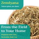 25-lb-bulk-sweet-wormwood-herb-artemisia-5.jpg
