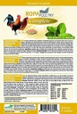 ropapoultry-oregano-oil-supplement-500-m-2.jpg